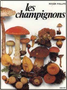 champignons_philips