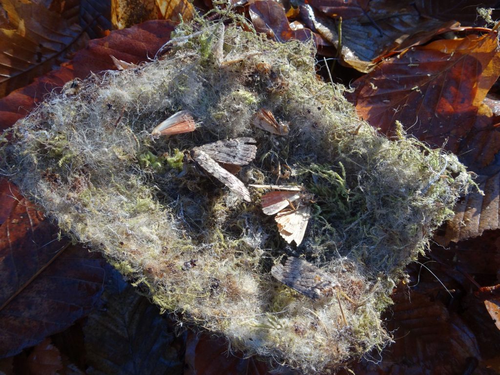 Entretien des nichoirs